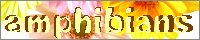amphibians